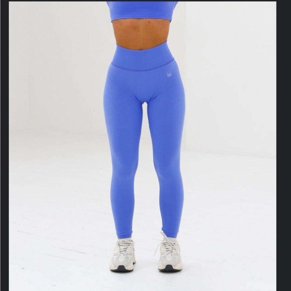 Lazuli Label V Seamless 2.0 Leggings NEVER WORN Alphalete